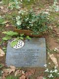 image of grave number 54923